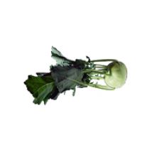 Kohlrabi