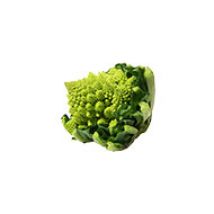 Romanesco