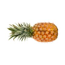 Ananas Extra Sweet