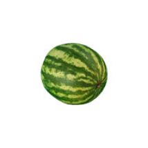 Mini-Wassermelonen (1 kg)