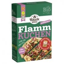 Flammkuchen-Backmischung, glutenfrei