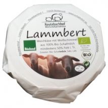 Schafs-Weichkäse Lammbert