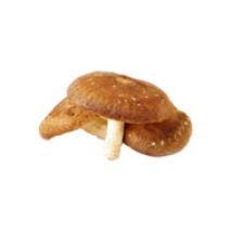 Shiitake