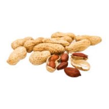 Erdnüsse mit Schale, geröstet