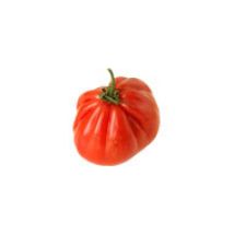 Fleischtomaten Ochsenherz