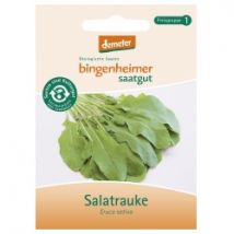 Rucola / Salatrauke