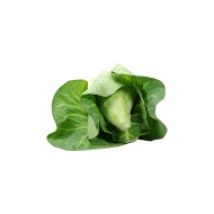 Spitzkohl (1 kg)