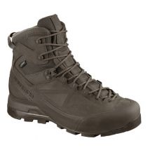 Salomon X Alp MTN GTX, marron
