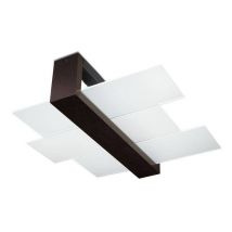 Feniks 2 Light Flush Ceiling Light Black, E27