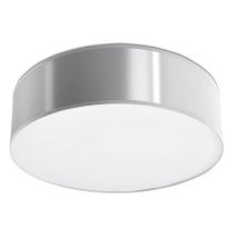 Arena 2 Light Flush Round Ceiling Light Silver, E27