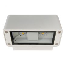 Alvena LED Outdoor Up Down Wall Lamp White 5800K IP54