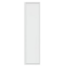 Panel X2 Ecovision LED Panel  300 x 1200 48W Pure White 6400K, 4300lm, White, Inc. Driver