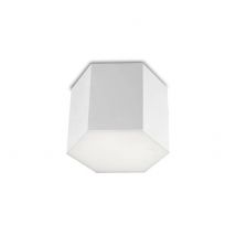 LEDS C4 LED 1 Light Flush Ceiling Light White