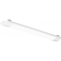 EVN LED-Anbauleuchte opal ws L5972002W 20W 1805lm 3000K B80mm L597mm