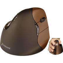 Evoluent Maus VerticalMouse 4 Small Drahtlos bl/brown USB retail