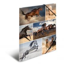 HERMA Sammelmappe A4 Pferde Pappe