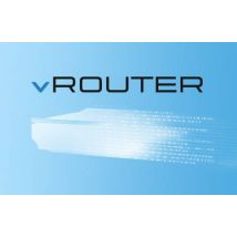 LANCOM vRouter 50 (10 Sites, 8 ARF, 1 Year)