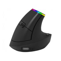 Ordissimo ergonomic wireless mouse