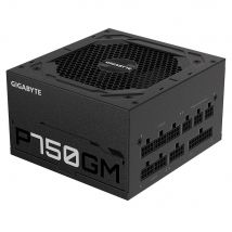 Gigabyte Netzteil P750GM             750Watt