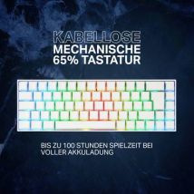 Deltaco Gaming Tastatur WK95R  wireless, RGB, weiß