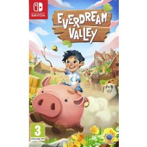 Everdream Valley Switch