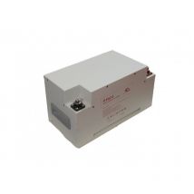 Batterie Lifepo4 Eaz-e Plug And Play 100 AH - EZA