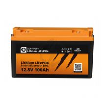 Batterie lithium LifePO4 Smart BMS 12V 100ah - Liontron