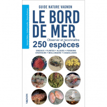 Le bord de mer - observer et reconnaitre 250 especes depuis nos cotes ou a terre - Vagnon