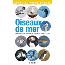 Oiseaux de mer - Vagnon