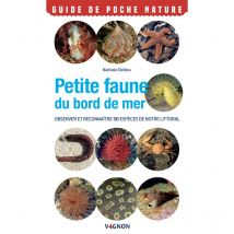 Petite faune du bord de mer - Vagnon
