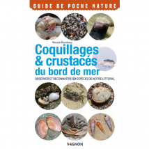 Coquillages crustaces - Vagnon