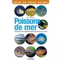 Poissons de mer - VAGNON
