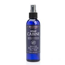 Spray assainisseur d'air menthe eucalyptus - docksoap