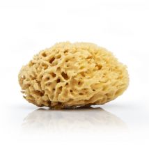 Natürlicher Meeresschwamm docksoap