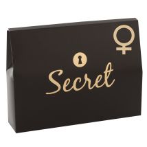 4-teiliges Set „Your Secret Pleasure“ für Frauen mit Toys und Massage-Öl