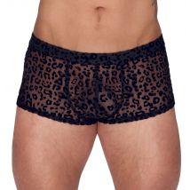 Pants aus feinem Powernet mit Leo-Samtflockprint