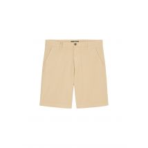 Chino Shorts 31