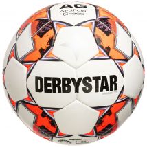 Derbystar Brillant TT AG v22 Fußball Unisex