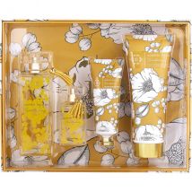 Everlasting - Nanette Lepore Coffret Cadeau 120 ml
