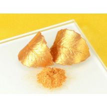 Lebensmittelfarbe Gold Sparkle 10g