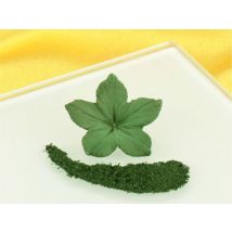 Sugarflair Puderfarbe Foliage Green Grün 7ml
