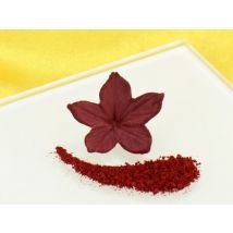 Sugarflair Puderfarbe Burgundy Dunkelrot 7ml