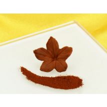 Puderfarbe Milk Chocolate - Brown 2g