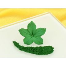 Sugarflair Puderfarbe Moss Green Grün 7ml