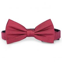 Seidenfalter Fliege aus Seide, gepunktet Farbe dunkelrot Größe: One Size