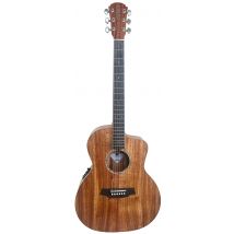 Cole Clark SAN1EC-BLBL