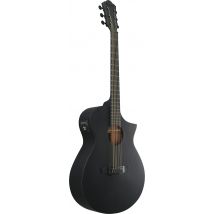 Ibanez AEWC621-BOT