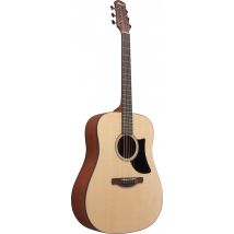 Ibanez AAD50-LG Westerngitarre