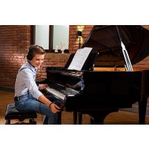 Silent-System für Flügel zum Nachrüsten inkl. Einbau adsilent