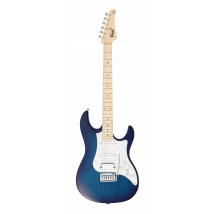 FGN E-Gitarre Expert Odyssey in Seethrough Blue Burst mit Koffer